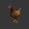 Brown Feathered Chicken With Red Comb And Yellow Claws On Dark Background