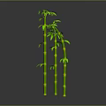 Green Bamboo Plant With Multiple Stalks And Fresh Leaves On Gray Background With Bottom Reflection