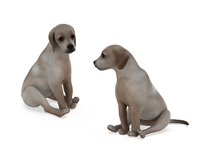 Modern Dog Native Dog 3d model Modern Dog Native Dog 3d model