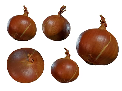 Fresh Whole Brown Onions With Dry Top Stems On White Background 3d model