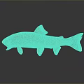 Spotted Fish With White Spots And Orange Fins On Gray Background With Reflection