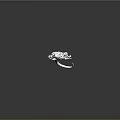 Detailed Transparent Lizard Skeleton on Gray Background with Clear Reflection