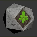 Small Green Plant In Hexagonal White Marble Textured Planter With Soil