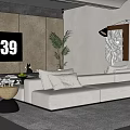 Modern Living Room With White L shaped Sofa TV Plants Floor Lamp And Gray Rug
