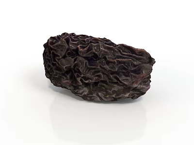 Natural Dried Date Fruit With Dark Wrinkled Surface And Organic Texture 3d model