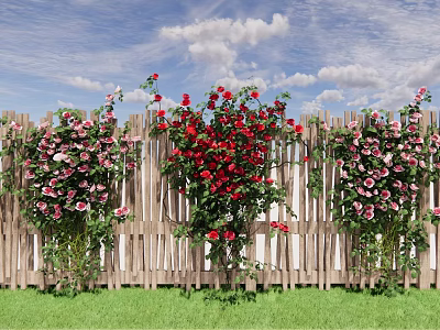 Beautiful Red And Pink Flowers Growing Along Wooden Fence With Blue Sky And Green Grass 3d model