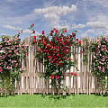 Beautiful Red And Pink Flowers Growing Along Wooden Fence With Blue Sky And Green Grass