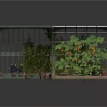 Arched Metal Frame Garden Structure With Interior Vines And Fruit Bearing Plants On Wooden Base
