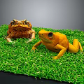 Two Frogs Of Different Colors Brown And Yellow Sitting On Green Grass