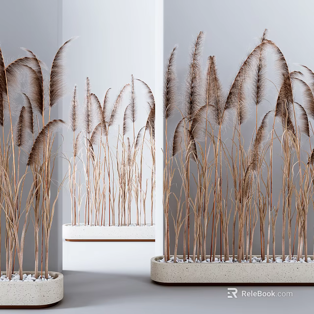 Elegant Potted Bonsai Plants With Brown Reed like Foliage In White Container 3d model 