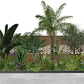 Lush Tropical Garden Space With Palm Trees Large Leaf Ferns Bamboo Fence And Colorful Blooms