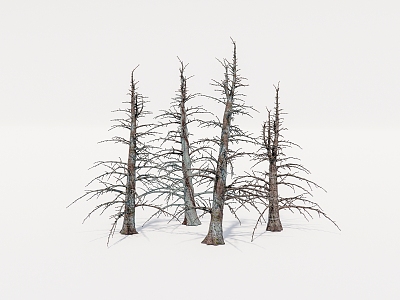 Dead wood, dead tree 3d model