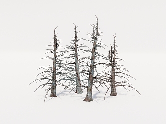 Dead wood, dead tree 3d model