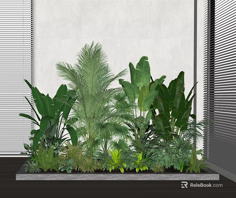 Various Green Plants With Large Leaves In Rectangular Planter By White Wall And Window Blinds 3d model 