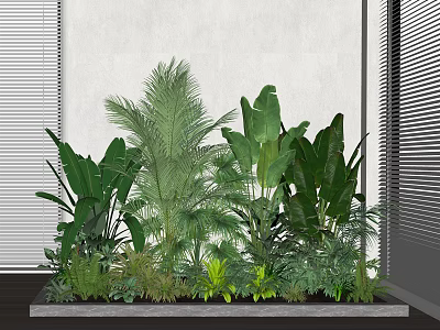 Various Green Plants With Large Leaves In Rectangular Planter By White Wall And Window Blinds 3d model
