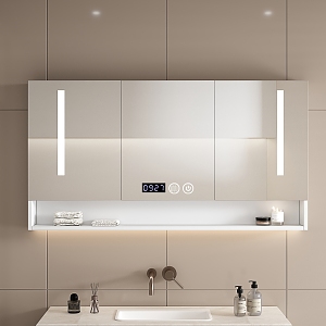 Modern Toilet Bathroom Cabinet Shelf Mirror 3d model