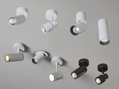Various Modern Downlights And Spotlights In White Black For Home Interior Lighting 3d model
