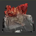 Red Coral Mushrooms With Flower Shaped Structure On Natural Stone Base