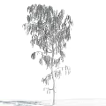 Frosted Arbor Tree With Icy Hanging Branches Against Clear Blue Sky And Clouds