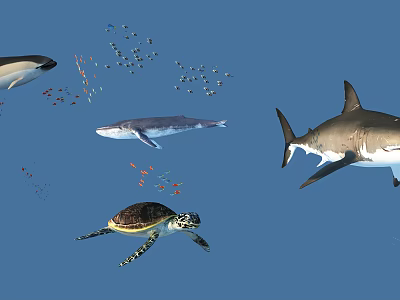 Marine Reptile Sea Turtle Swimming With Sharks Fish And Whales In Blue Ocean 3d model