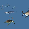 Marine Reptile Sea Turtle Swimming With Sharks Fish And Whales In Blue Ocean