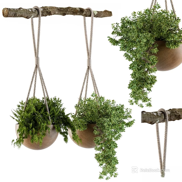 Hanging Green Plants Decorative Ornament Set With Wooden Pots And Rope 3d model 