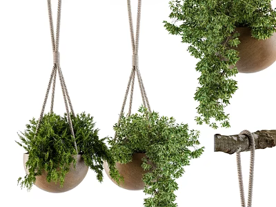 Hanging Green Plants Decorative Ornament Set With Wooden Pots And Rope 3d model