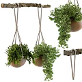 Hanging Green Plants Decorative Ornament Set With Wooden Pots And Rope