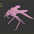 Mosquito Cartoon Mosquito Cartoon Insect Monster Monster Cartoon Monster Monster Cartoon Monster 3d model