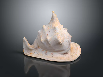 Aquatic Animal Conch Shell Featuring White Spiral Shape And Textured Surface On Black Reflective Base 3d model
