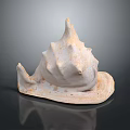 Aquatic Animal Conch Shell Featuring White Spiral Shape And Textured Surface On Black Reflective Base 3d model