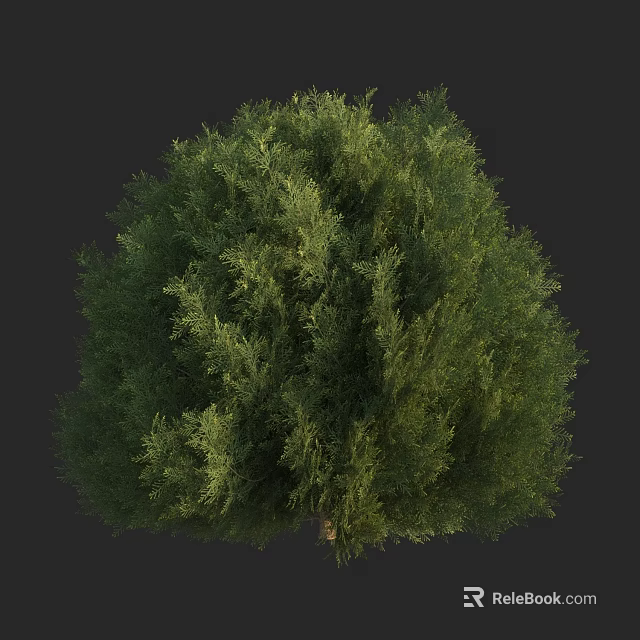Lush Green Arbor With Dense Foliage And Natural Full Crown 3d model 
