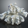 Modern Coral Red Coral White Coral Blue Coral 3d model