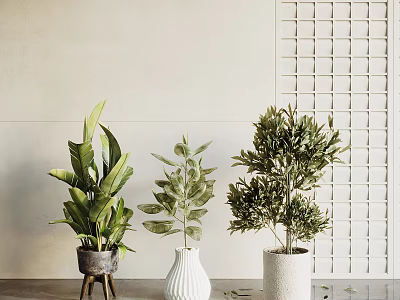 Three Leafy Potted Plants In Decorative Pots Against Light Wall Background 3d model