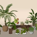 Various Leafy Potted Plants With Different Planters For Indoor Home Decor