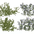 Green Vines With Lush Green Leaves And Purple Flowers Decorative Plant Clusters