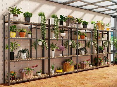 Indoor Potted Plants Display On Metal Shelves With Brick Wall Glass Roof And Wooden Floor 3d model