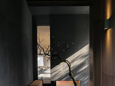 Modern Entryway Hallway Design With Dark Walls Decorative Branch Wall Sconce And Light Shadow 3d model