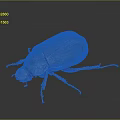 Dark Brown Beetle With Red Legs On Black Background Close Up View 3d model