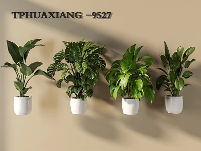 Wall Mounted Potted Plants With White Pots And Lush Green Leaves For Indoor Decoration 3d model