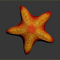 Vibrant Orange Red Starfish With Textured Surface And Glossy Appearance