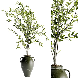 potted plant 3d model