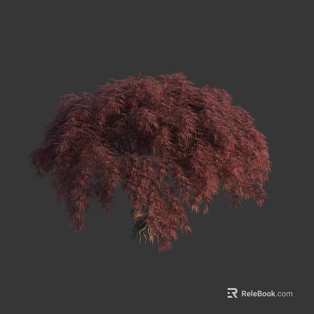 Elegant Isolated Tree With Vibrant Red Purple Slender Leaves And Graceful Form 3d model 