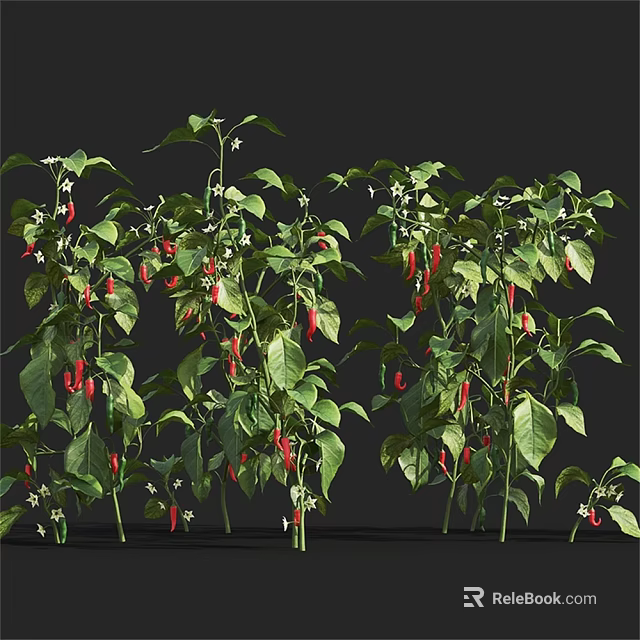 Vibrant Chili Pepper Plants With Green Leaves Red Peppers And White Flowers 3d model 