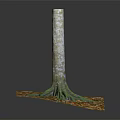 Wooden Tree Trunk with Roots on Stone Base Decorated with Fallen Leaves and Natural Texture