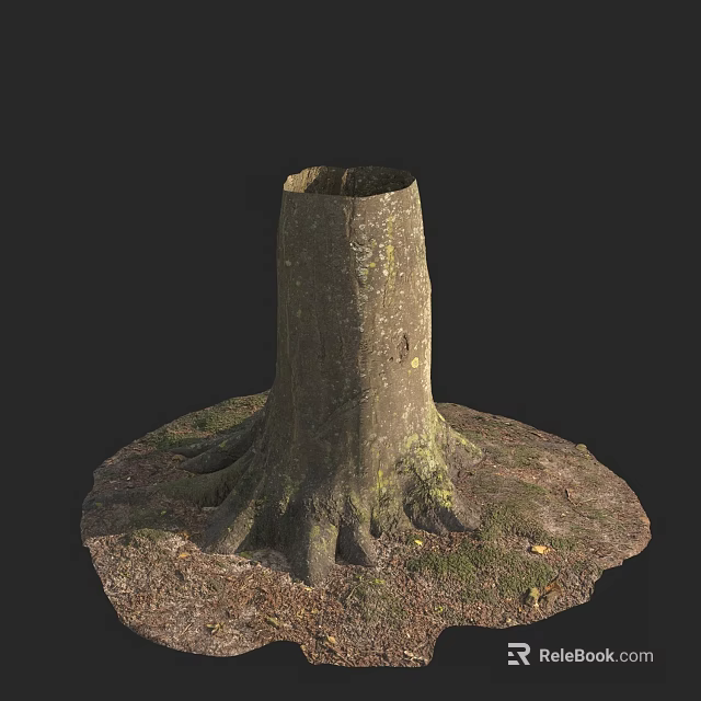 Natural Wooden Tree Stump With Exposed Roots On Earthy Ground And Grass 3d model 