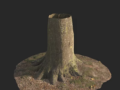 Natural Wooden Tree Stump With Exposed Roots On Earthy Ground And Grass 3d model