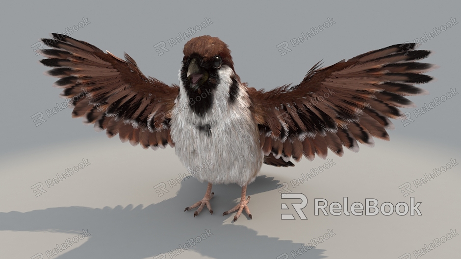 Realistic Sparrow High Precision Bird Flying Bird model