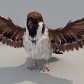 Realistic Sparrow High Precision Bird Flying Bird 3d model