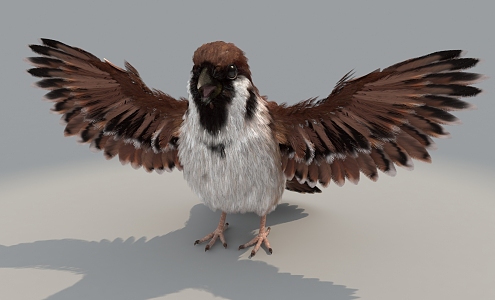 Realistic Sparrow High Precision Bird Flying Bird 3d model